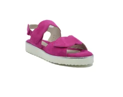 BELLA COMFORTO CORAL